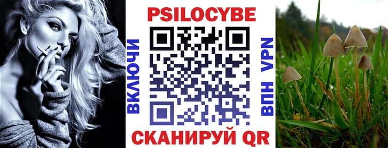 blacksprut зеркало  Новодвинск  Псилоцибиновые грибы ЛСД  закладки 
